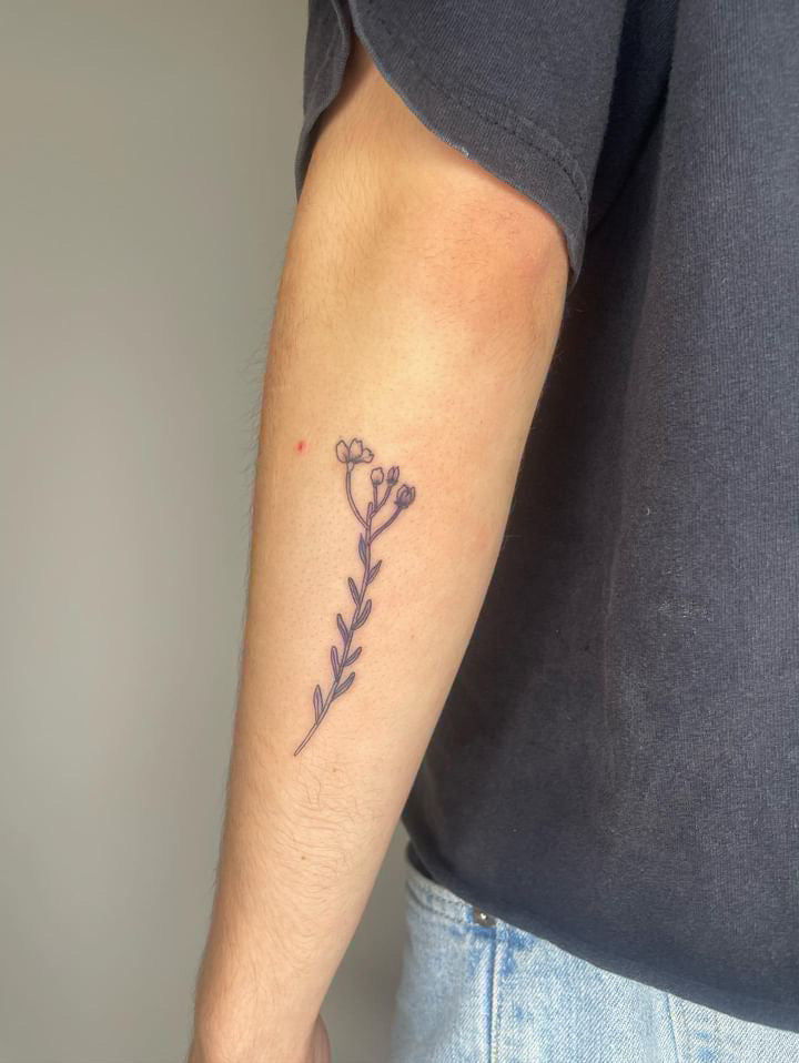 Permis de tatouage illustration