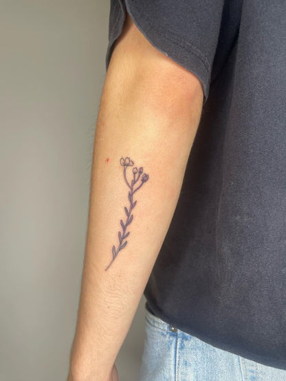 Permis de tatouage illustration